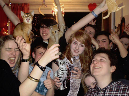 Boozecats Meme Template