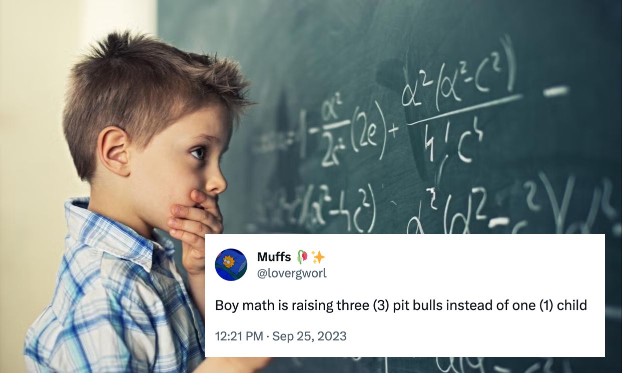 Boy Math / Girl Math Meme Template
