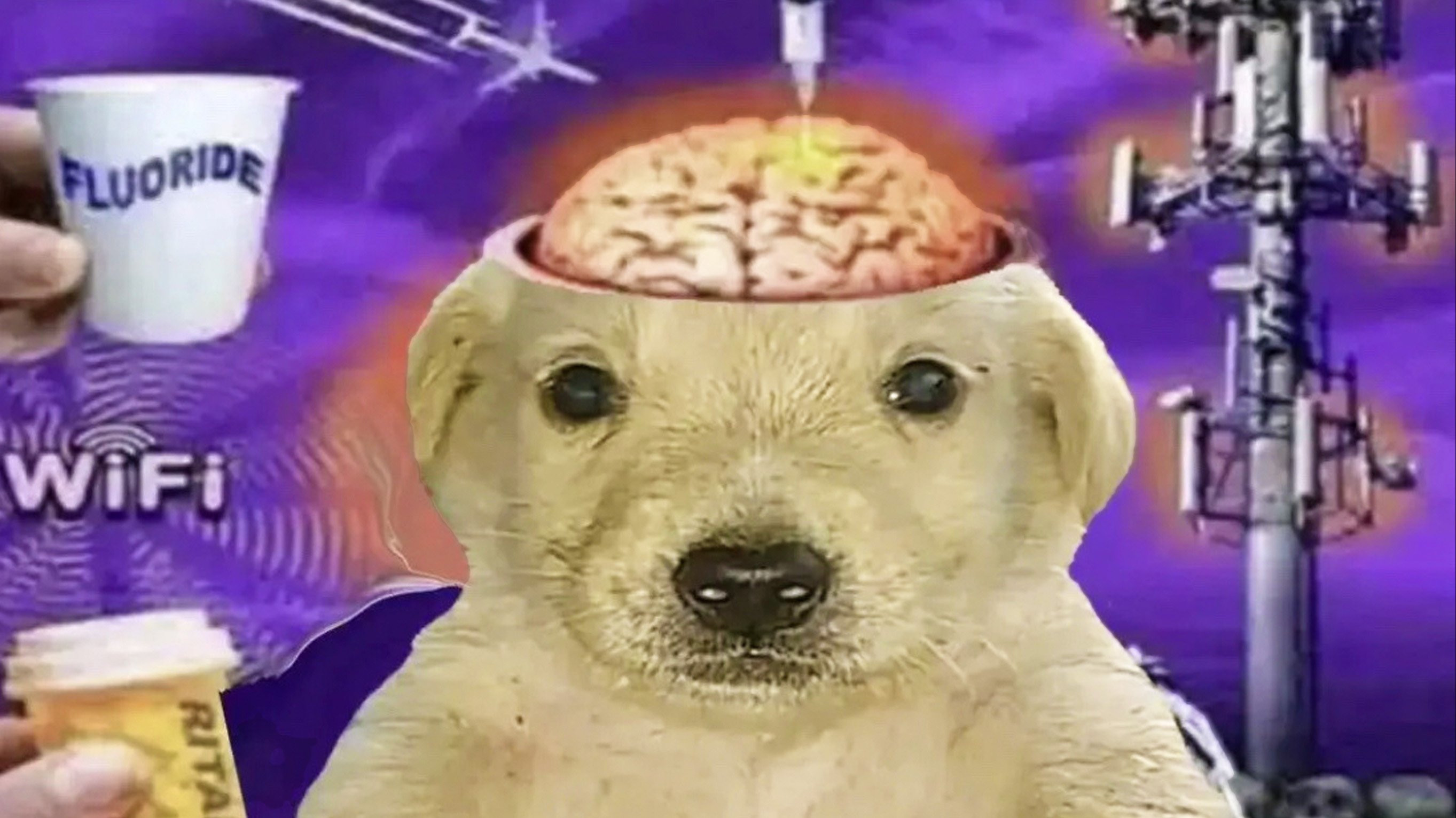 Brainwashed Jotchua / Brainwashed Kid