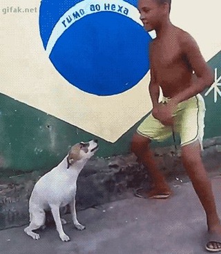 Brazil Dog Dance
