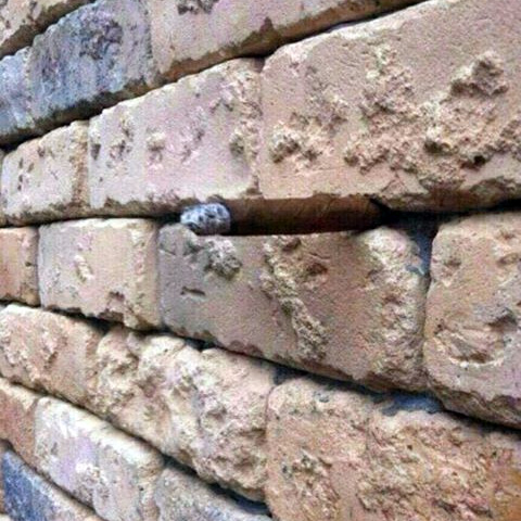 Brick Wall Optical Illusion