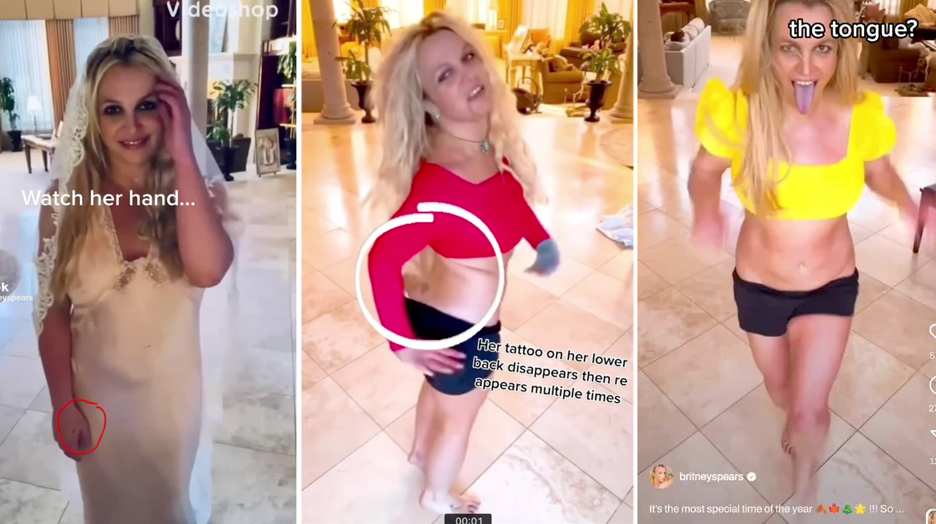 Britney Spears Death and Body Double Conspiracy Meme Template