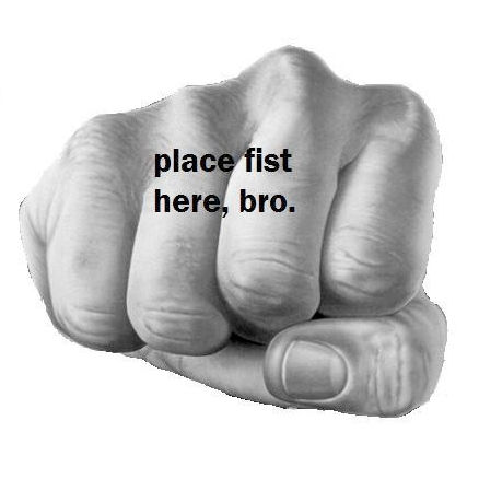 Bro Fist Meme Template