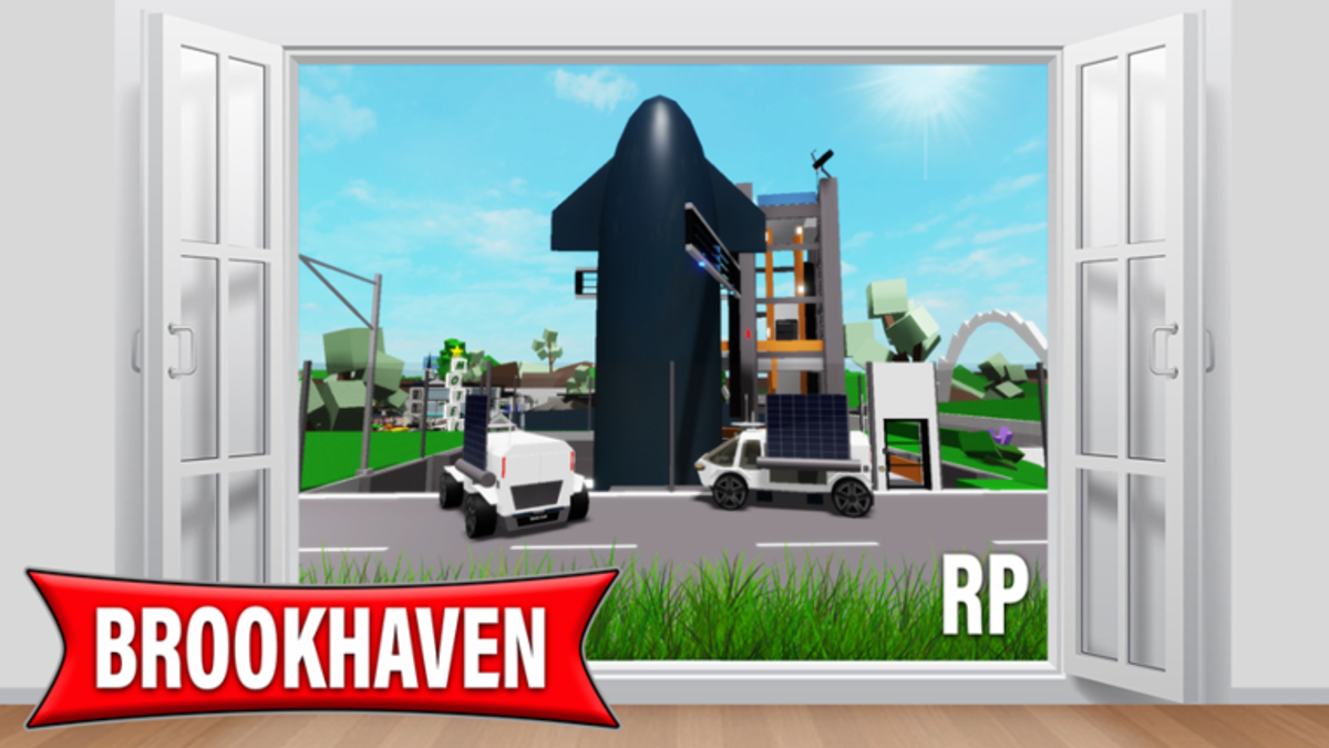 Brookhaven Meme Template