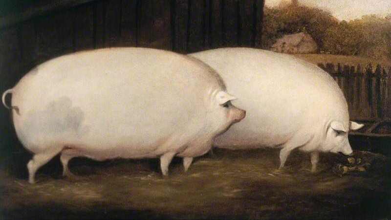 Brother, May I Have Some Oats