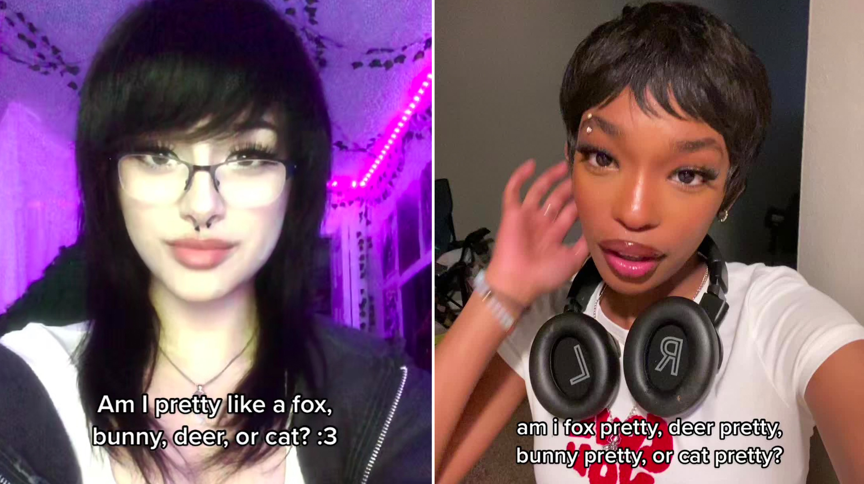 Bunny Pretty, Fox Pretty, Deer Pretty, Cat Pretty