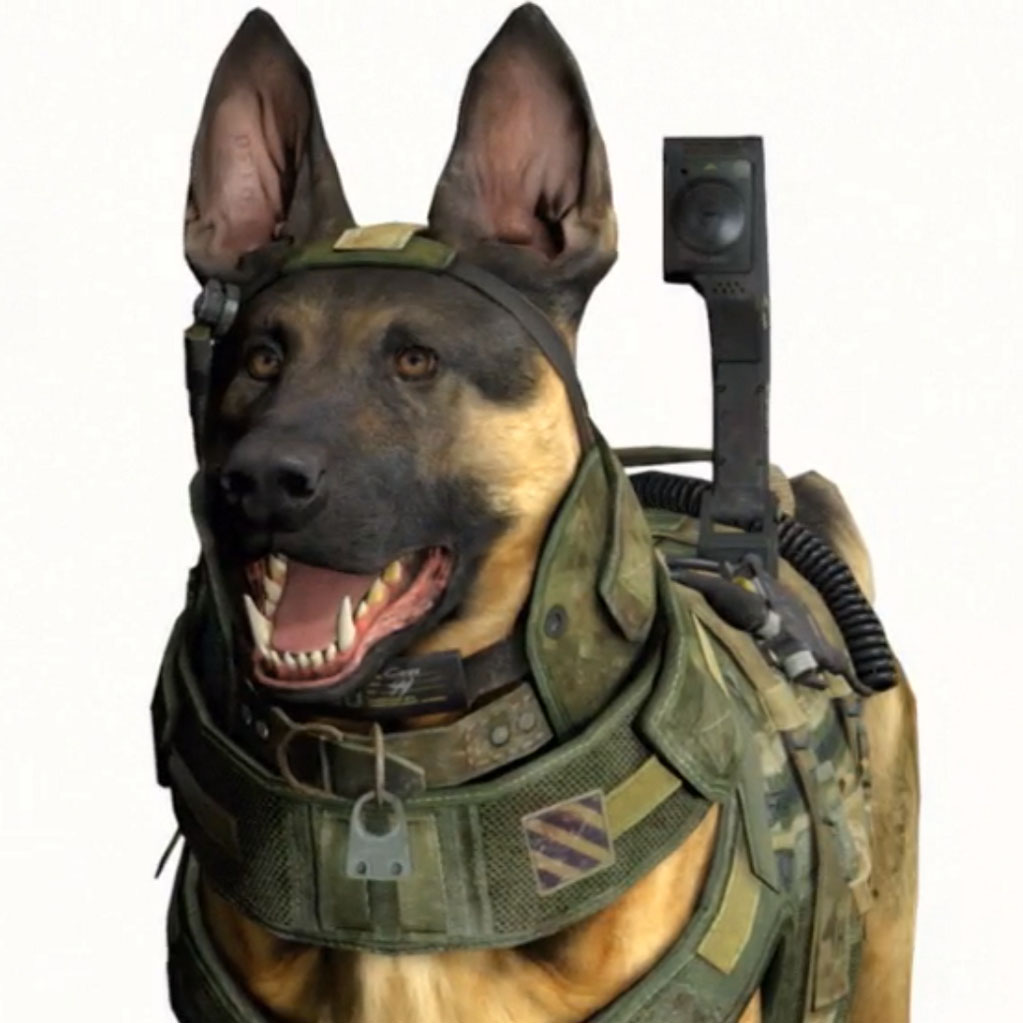 Call of Duty Dog