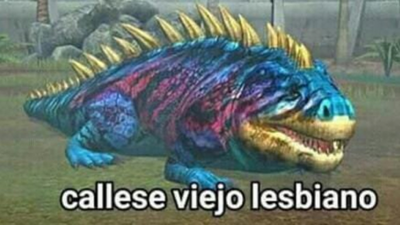 Callese Viejo Lesbiano Meme Template