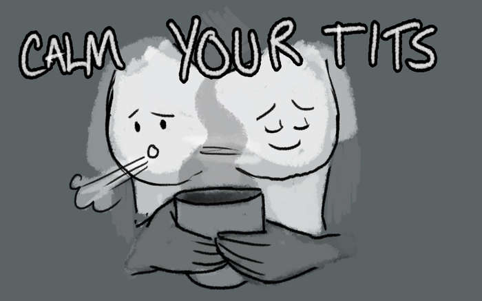 Calm Your Tits Meme Template