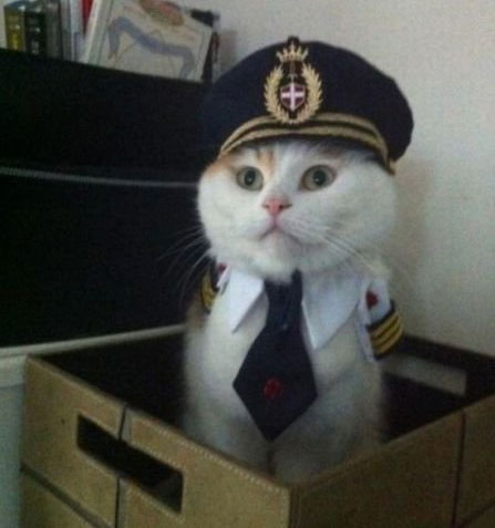 Captain Kitteh Meme Template