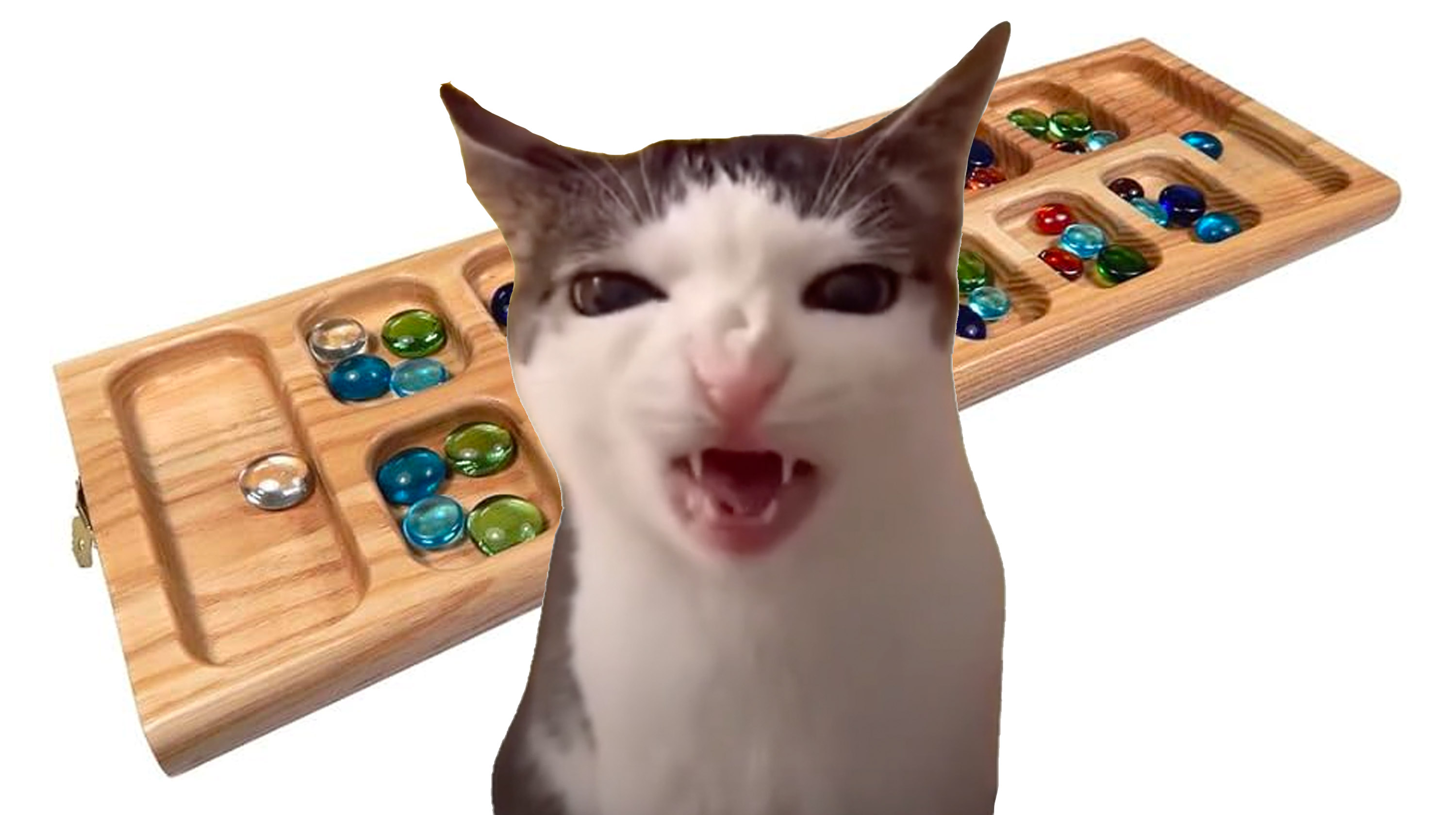 Cat Crunching / Crunchy Cat Meme Template