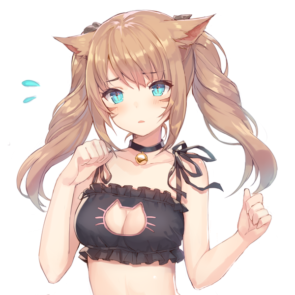 Cat Keyhole Lingerie Meme Template