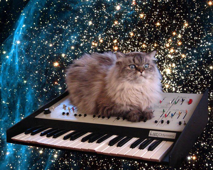 Cat on a Keyboard in Space Meme Template