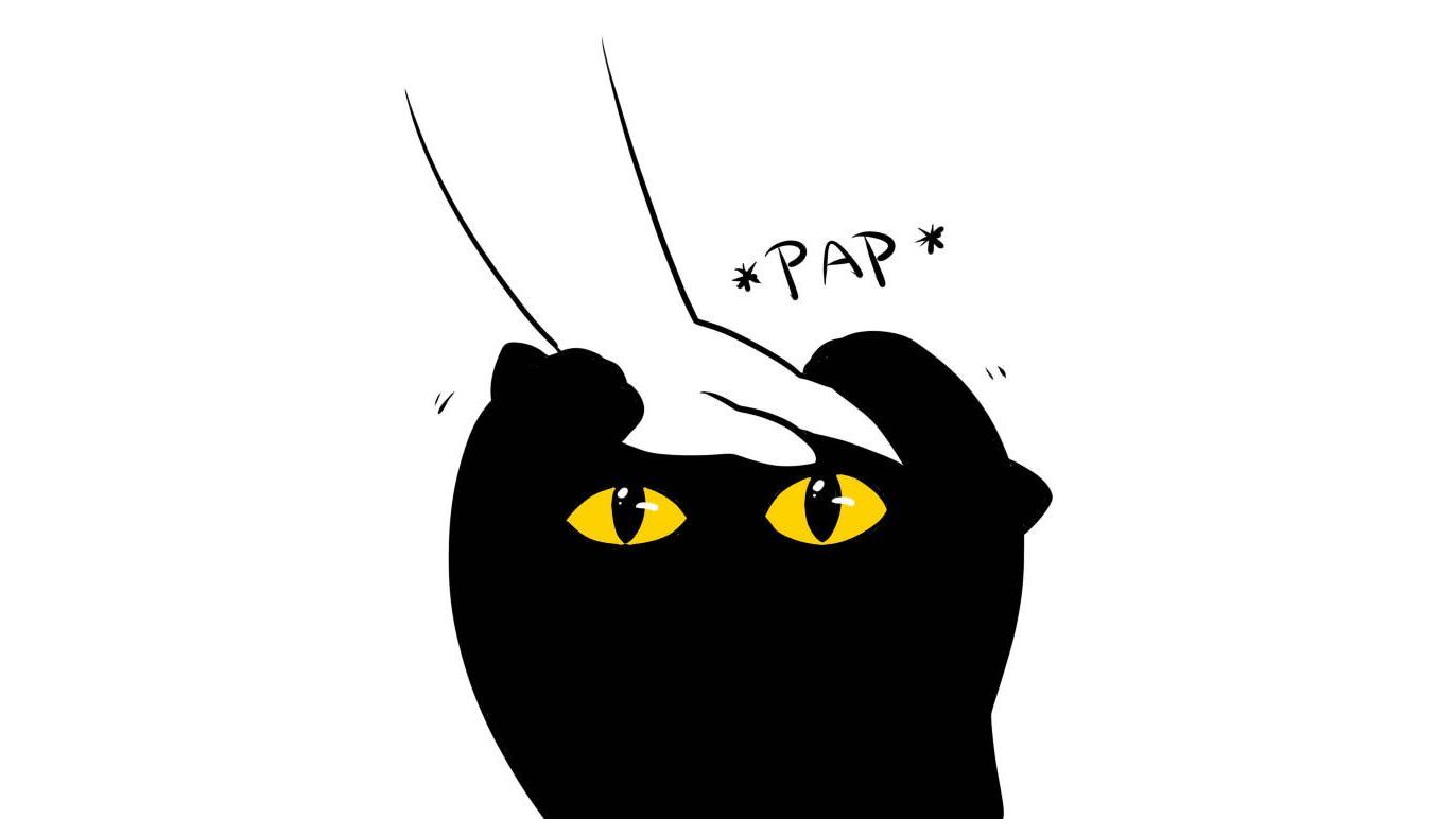 Cat Pap