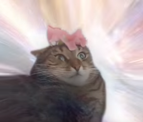 Cat Transcendence Meme Template