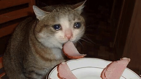 Cats Can Have Little a Salami Meme Template