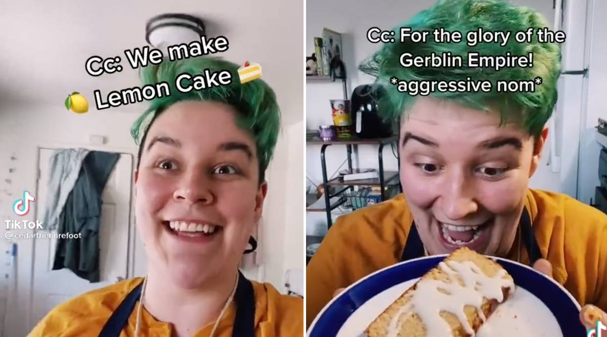 Cedarthebarefoot's Gerblin Lemon Cake TikTok