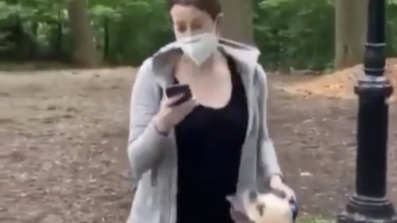 Central Park Karen Meme Template