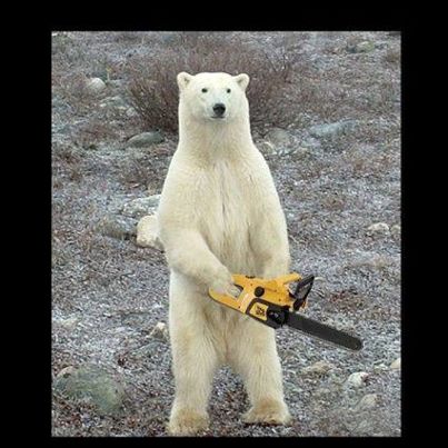 Chainsaw Bear Meme Template