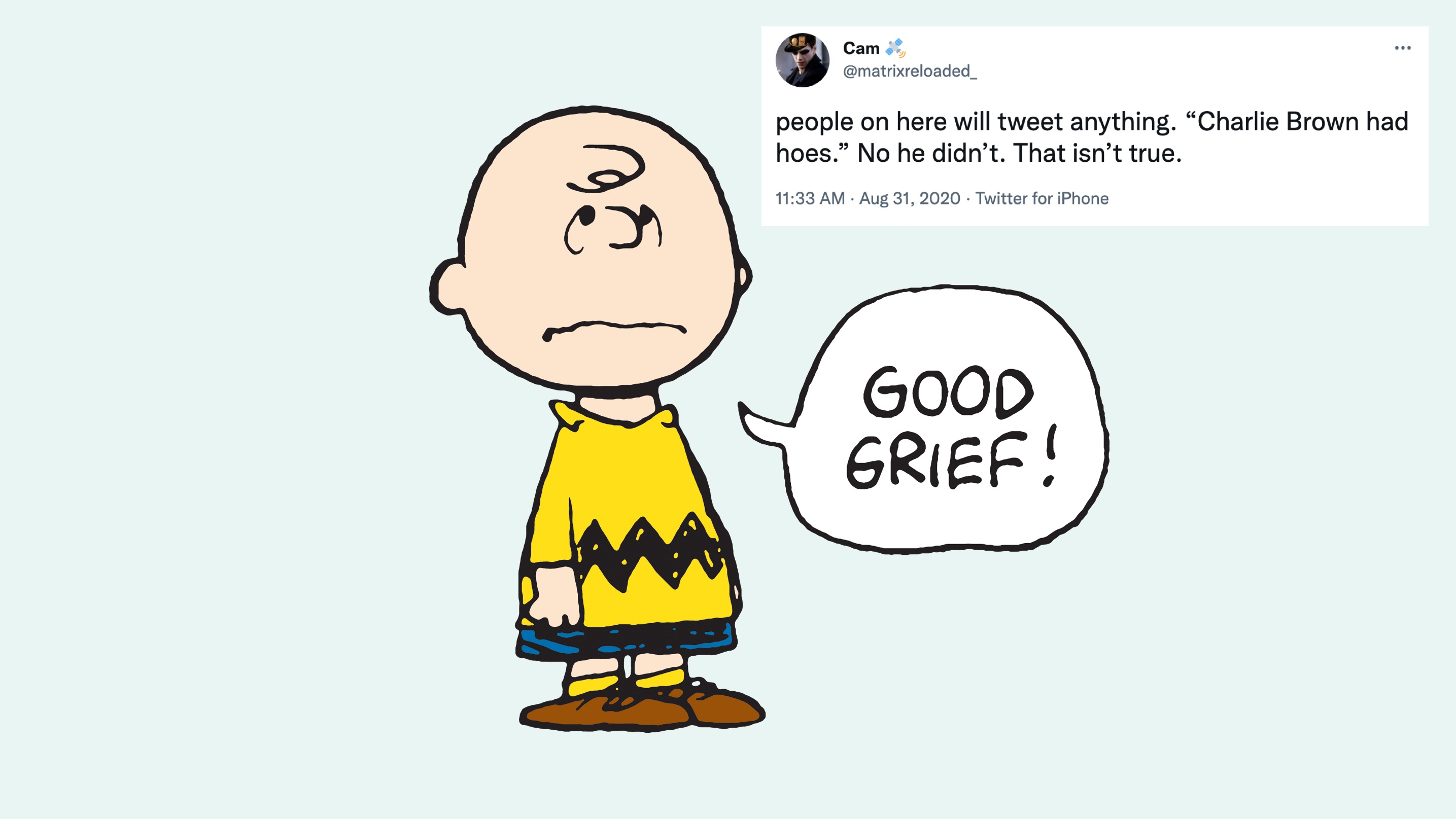 Charlie Brown Had Hoes Meme Template