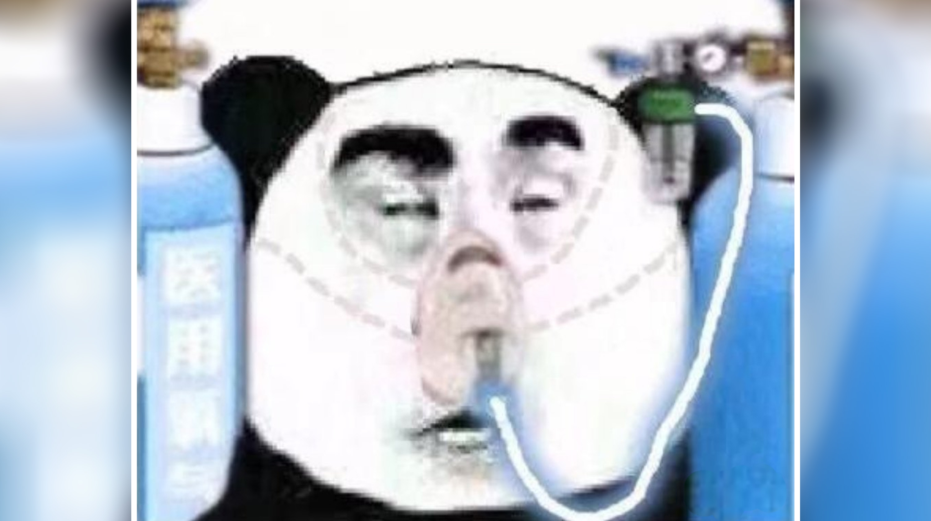 Chinese Panda Wearing Oxygen Mask