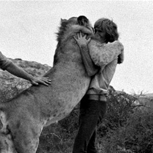 Christian the Lion Meme Template