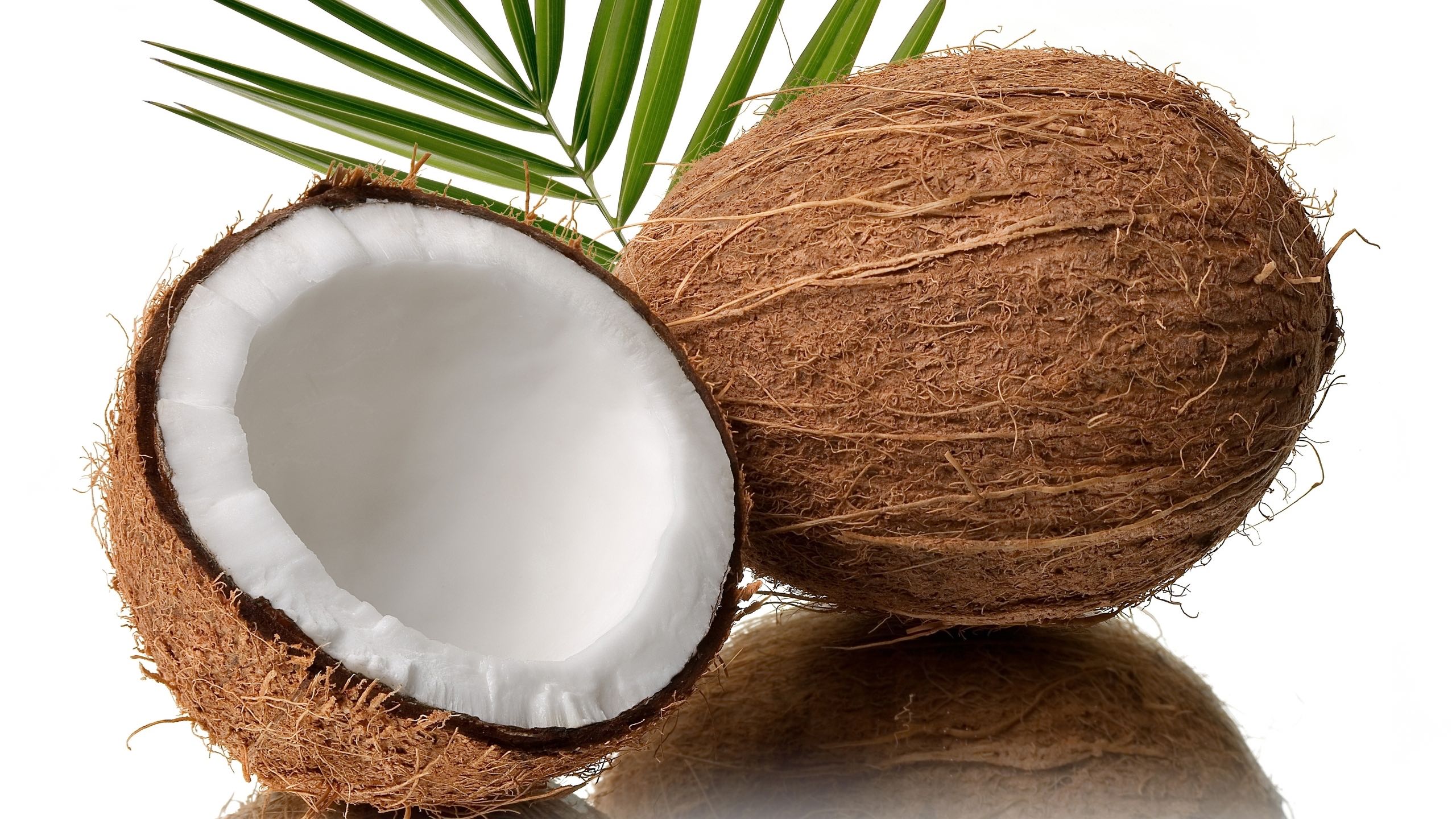 Coconut Challenge / Spell Coconut With Your Waist
