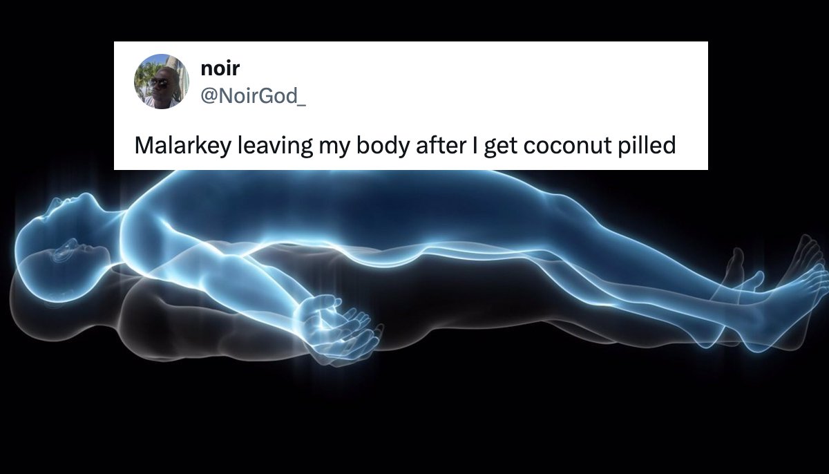 Coconut-Pilled