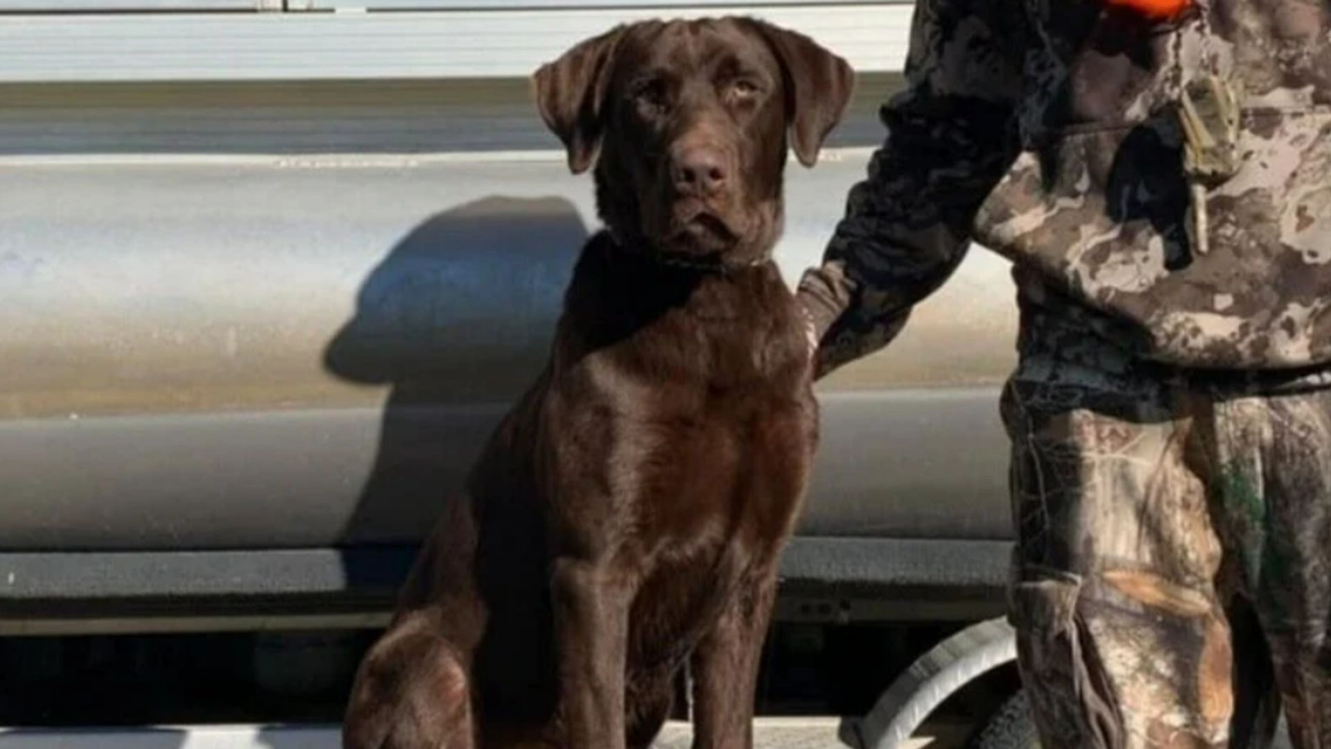 Cole Prevost's Dog Abuse Video