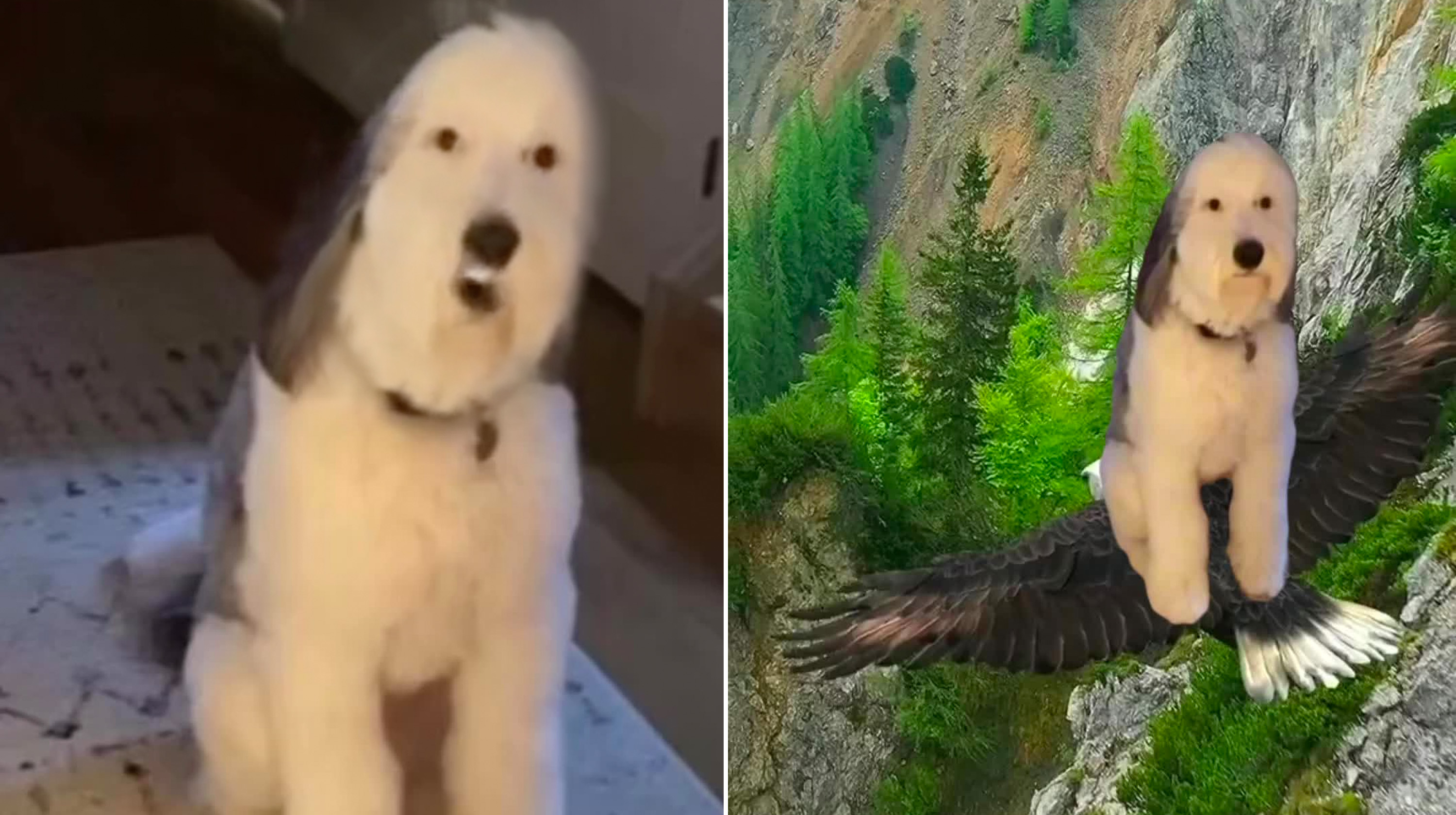 Come Over Here And Kiss Me On My Hot Mouth Meme Template