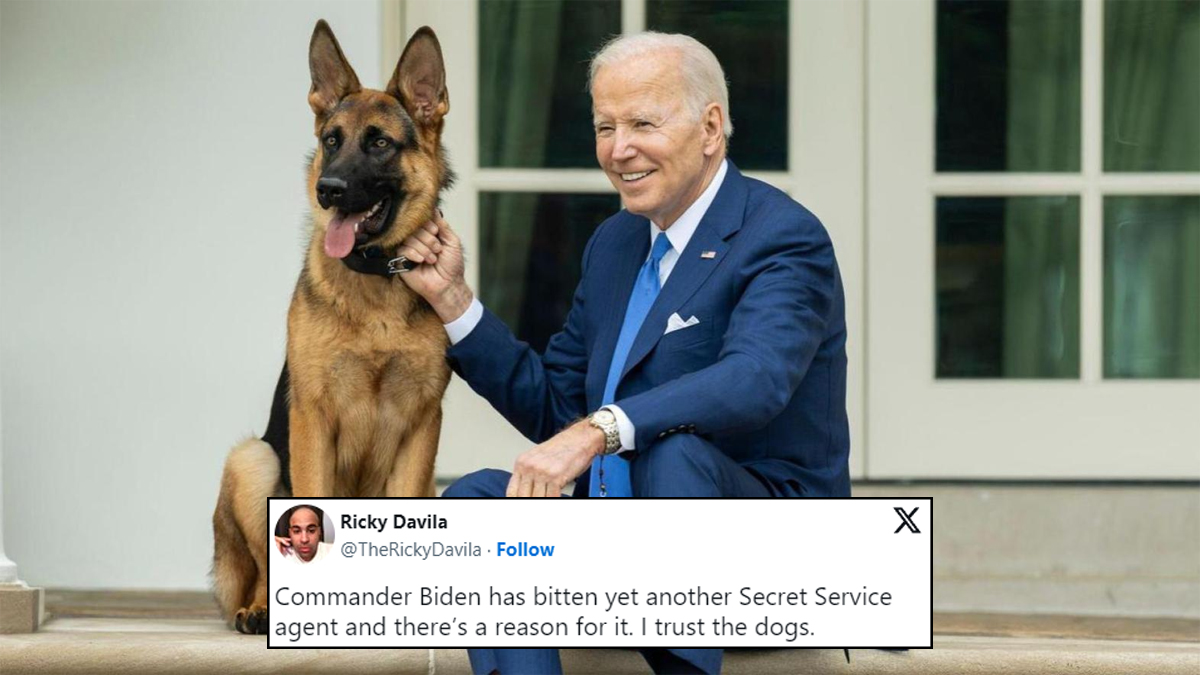 Commander Biden / Joe Biden's Dog