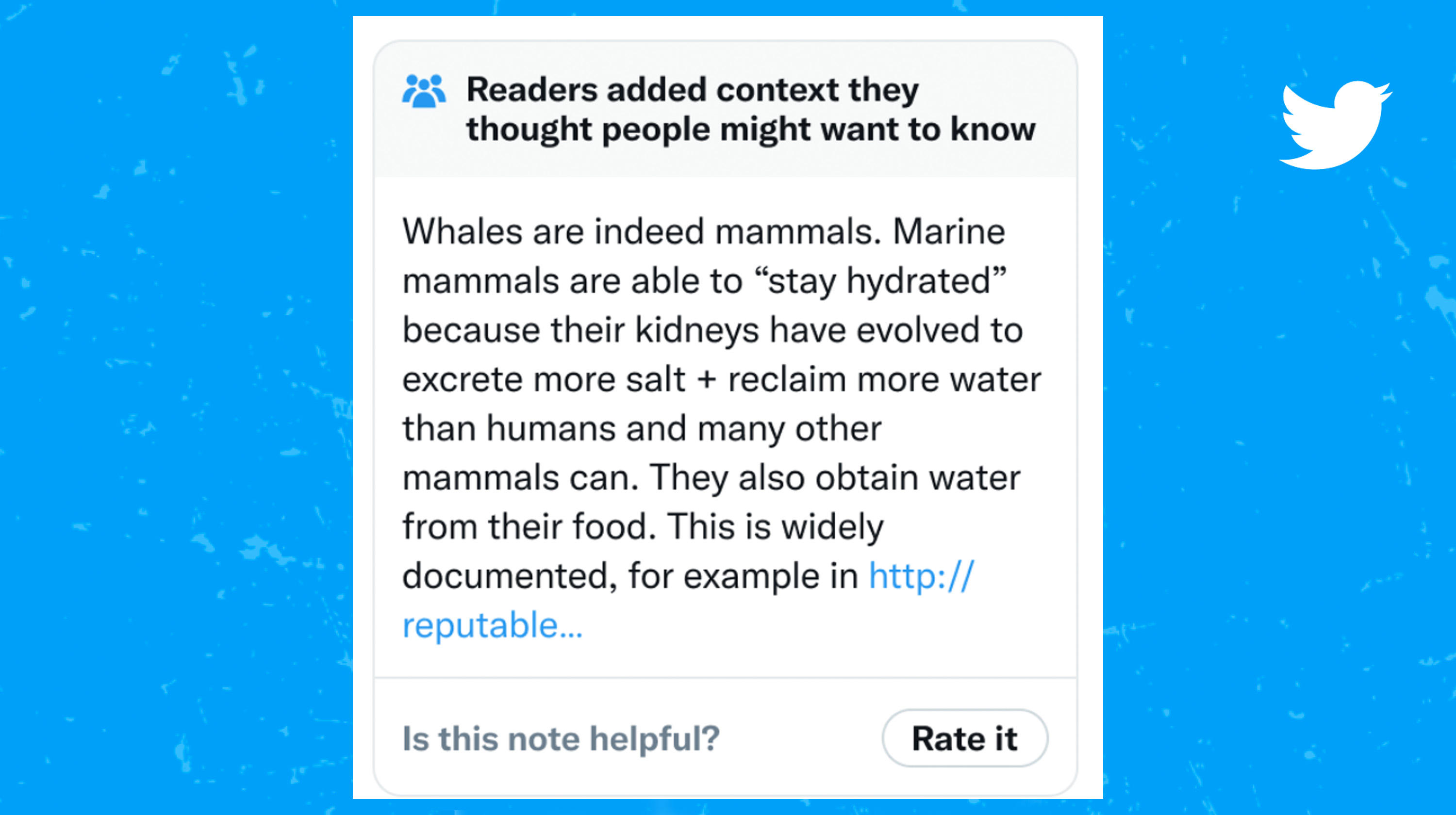 Community Notes on Twitter / X Meme Template