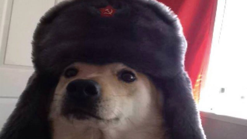 Comrade Doggo