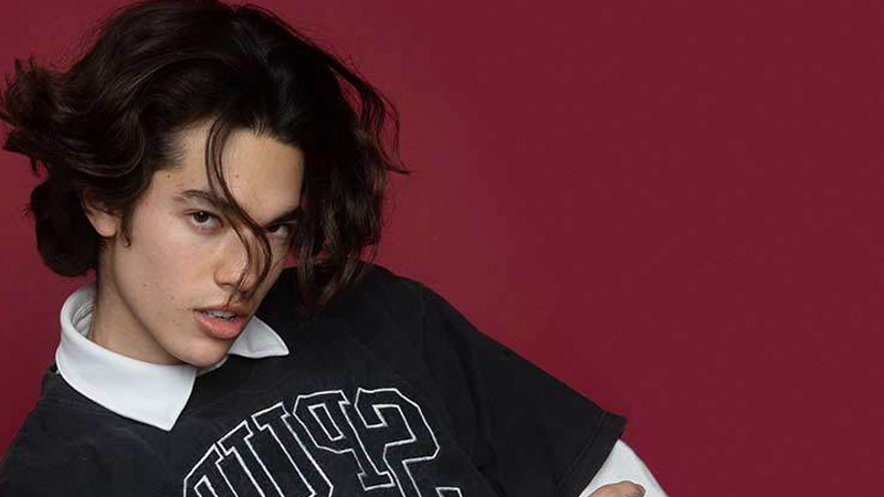 Conan Gray "I'm a Lesbian" Tweet