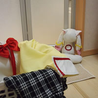 Cosplay Costumes in the Changing Room