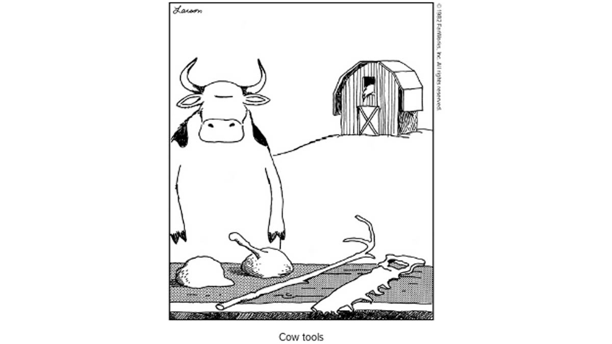 Cow Tools Meme Template
