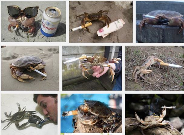 Crabs Smoking Cigarettes Meme Template