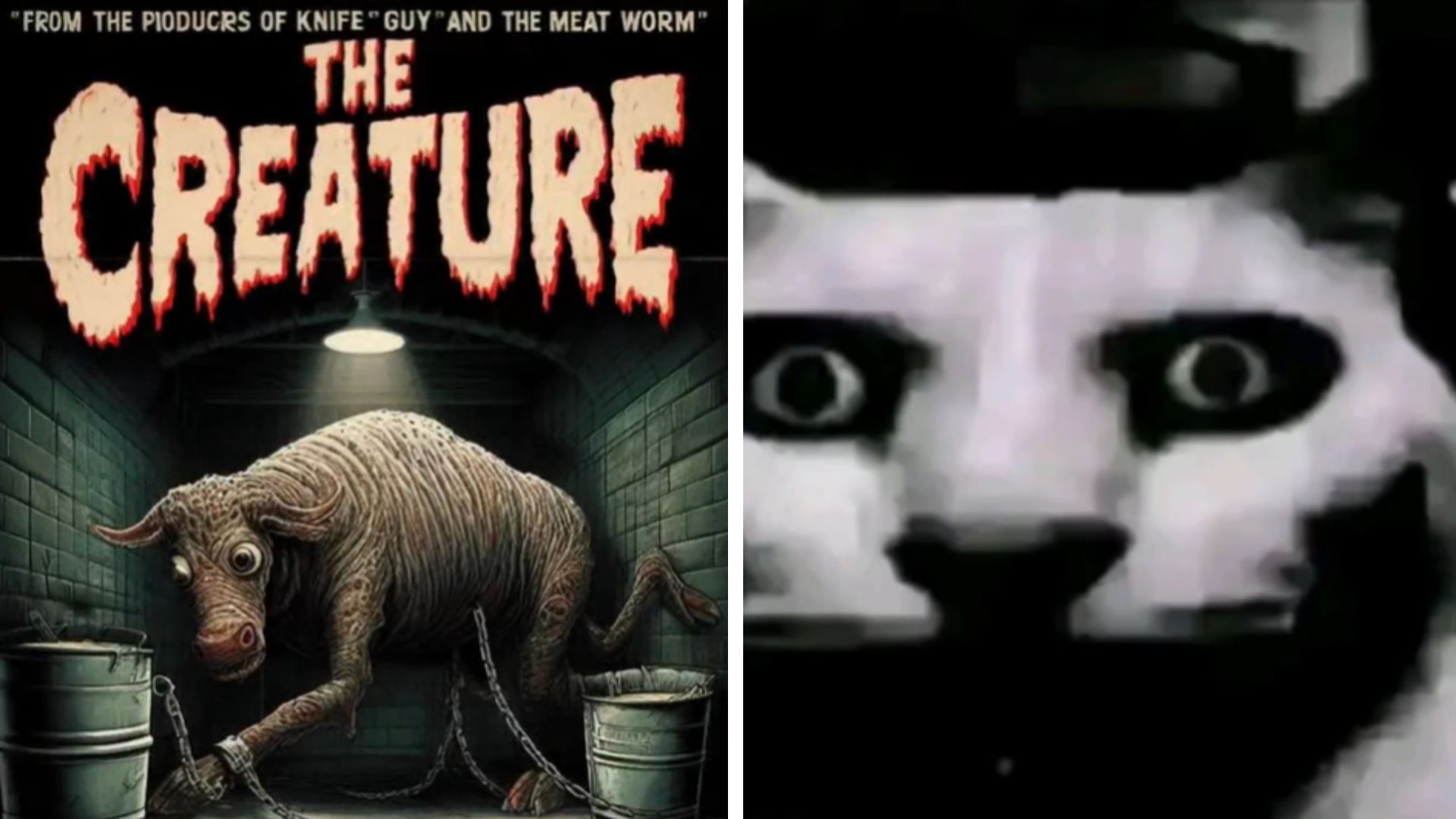Creature Feature Featuring The Creature