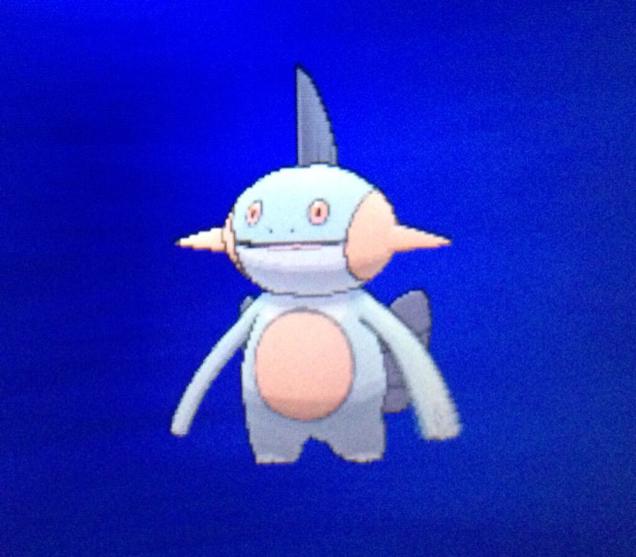 Creepy Marshtomp Meme Template