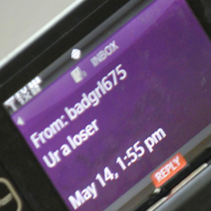 Cyberbullying Meme Template