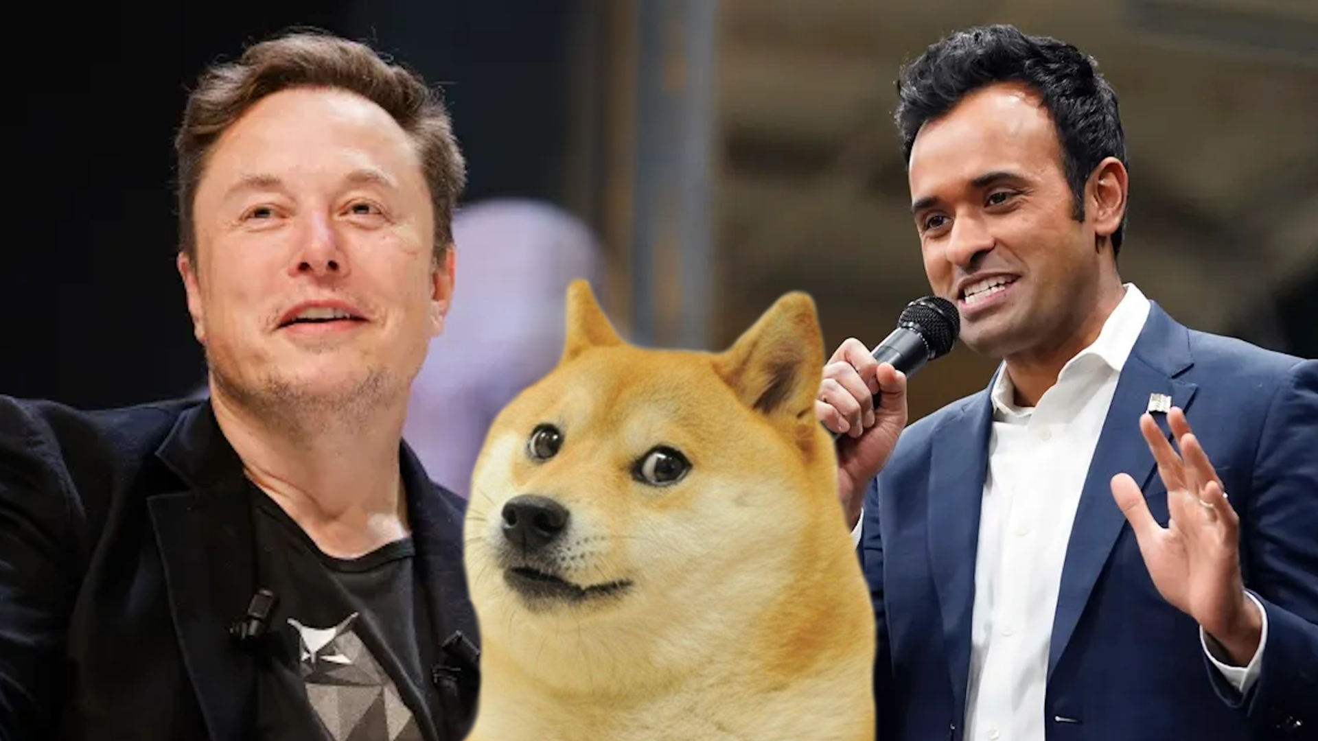 Department of Government Efficiency (DOGE)