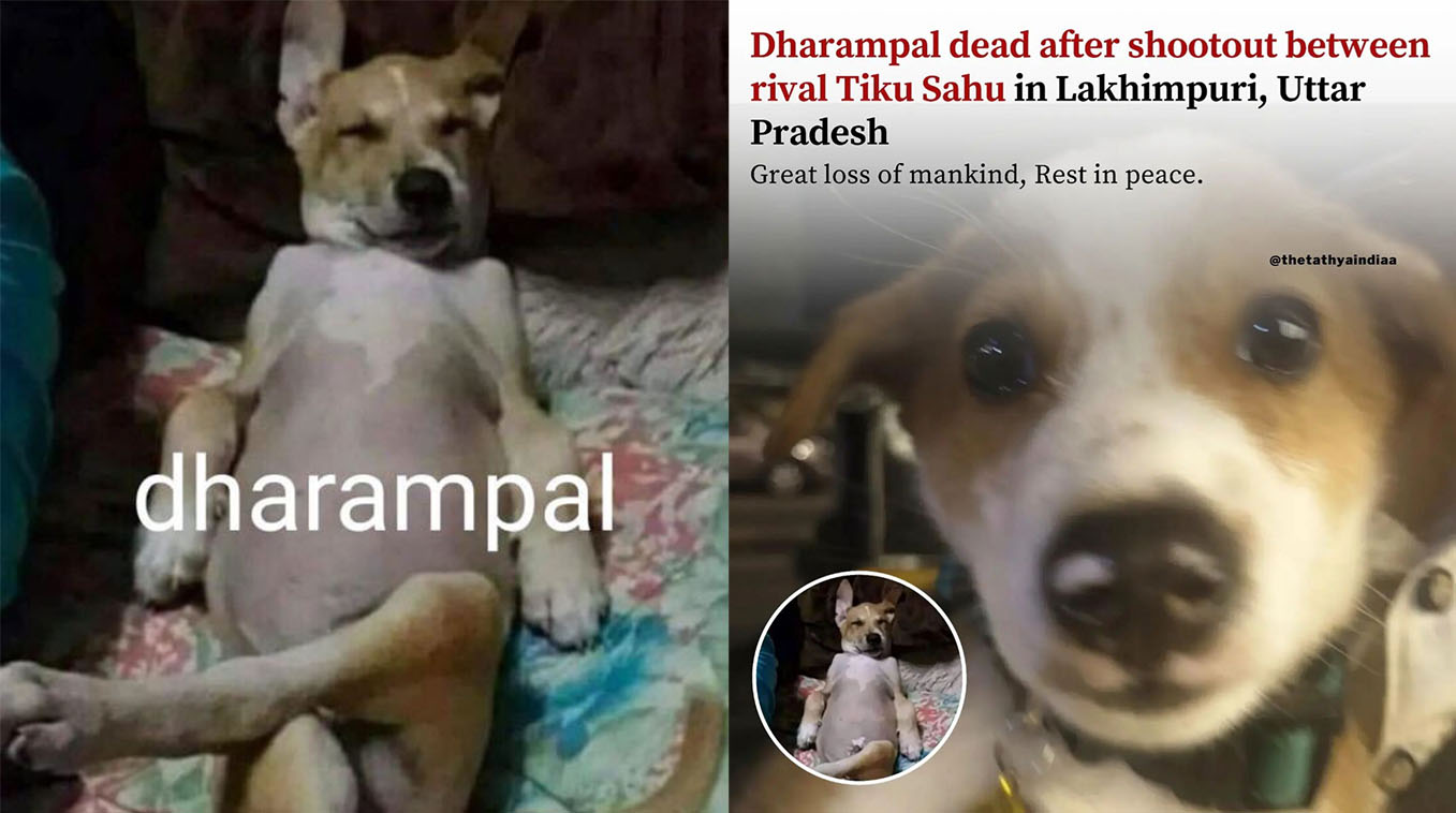 Dharampal vs. Tiku Sahu