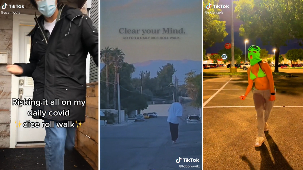 Dice Roll Walk Meme Template