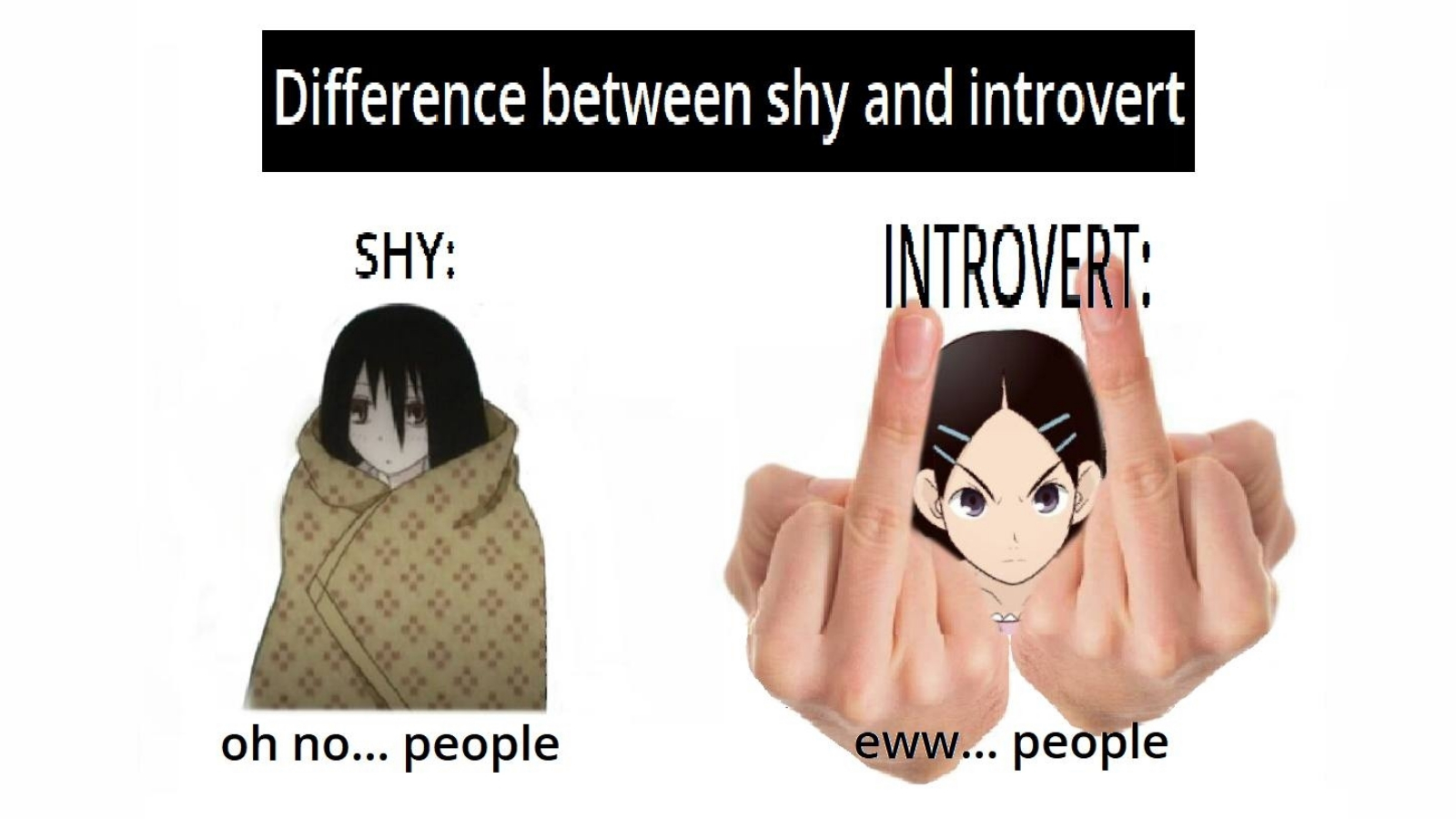Difference Between Shy and Introvert Meme Template