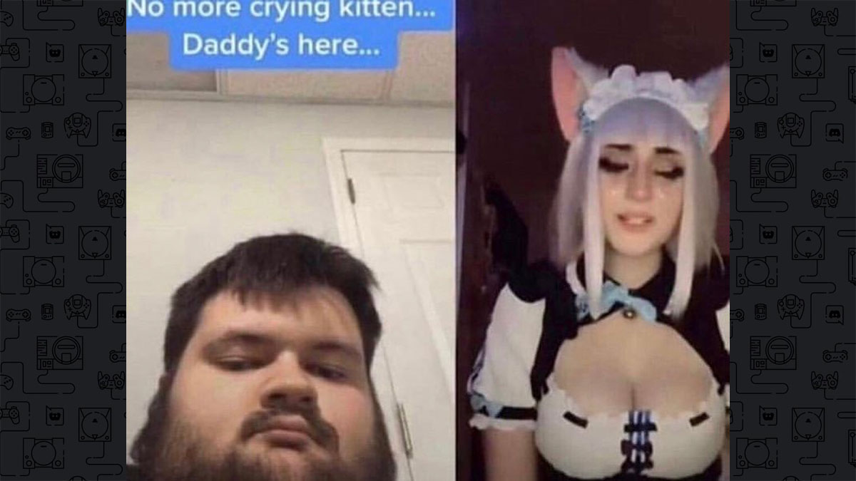 Discord Kitten Meme Template