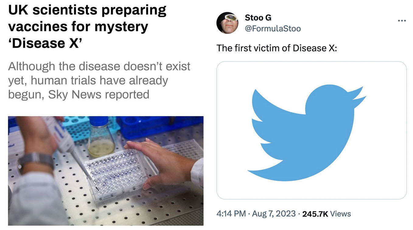 Disease X Meme Template