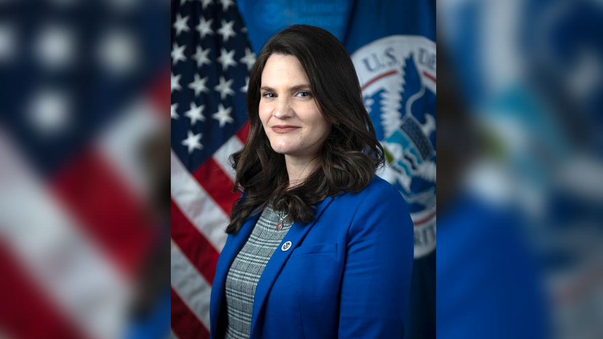 Disinformation Governance Board Meme Template