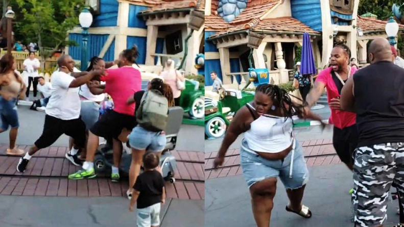 Disneyland Fight