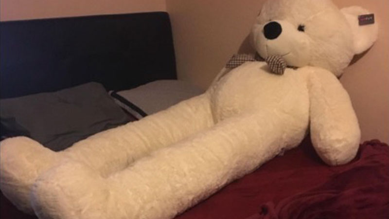 Disproportionate Teddy Bear Meme Template