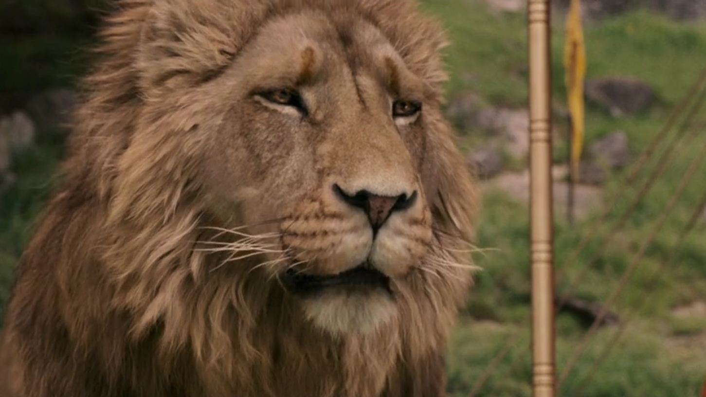 Do Not Cite the Deep Magic to Me, Witch Meme Template